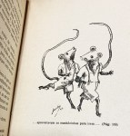 isaura-uma-alentejana-5