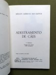 adestramento-de-caes-6
