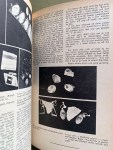 gem-cutting-for-the-begginer-8