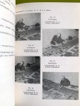 3ginastica-trabalhadores-construcao-civil
